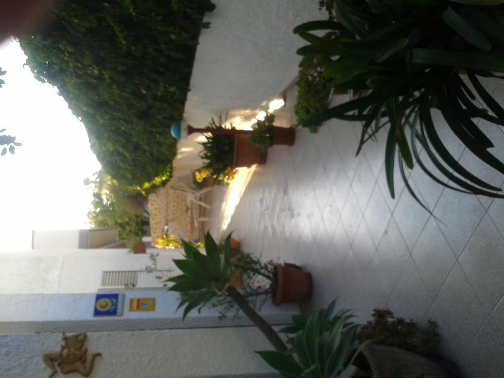 B&B Il Girasole Noto Eksteriør billede