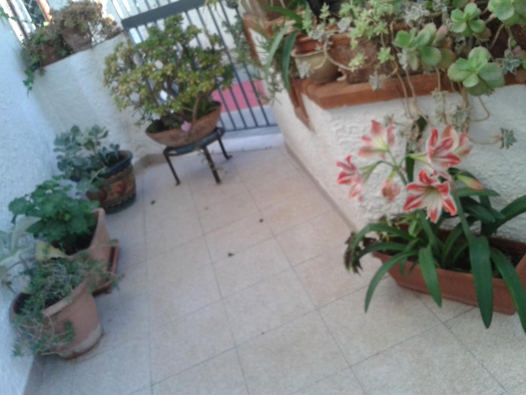 B&B Il Girasole Noto Eksteriør billede