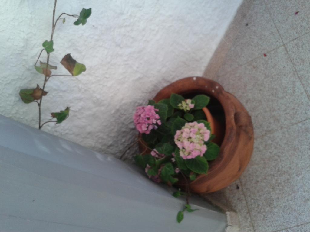 B&B Il Girasole Noto Eksteriør billede